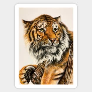 Tiger Sticker